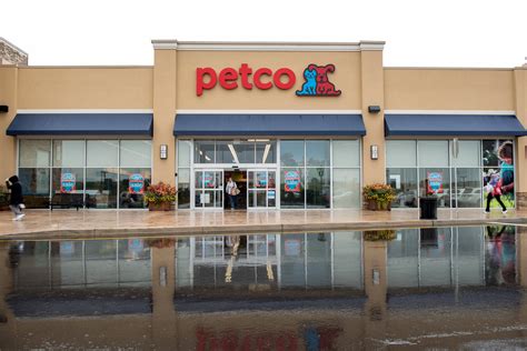 Pet care retailer Petco shares surge more than 60% as it returns to