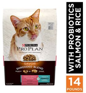 Best dry cat food for senior indoor cats. 6 Best Soft Dry Cat Food For Cats With No Teeth - Guide 2020