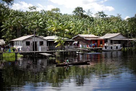 Opinion Indigenous People Face A Tragedy In The Amazon During The