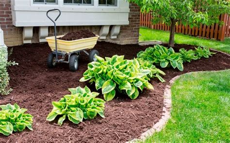 Why You Should Mulch Your Landscaping Exceedingly Good Home