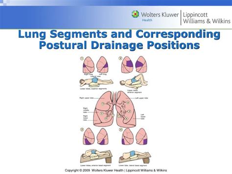 Lung Drainage Positions