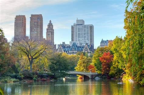 Central Park New York 10 Things To Do Telegraph