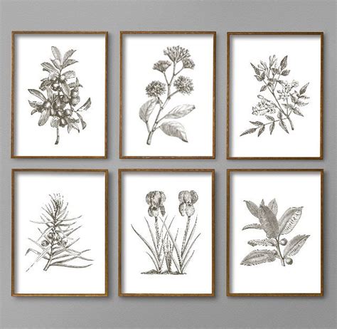 Botanical Prints Botanical Print Set Botanical Art Botanical Etsy