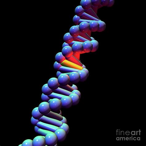 Dna Mutation Photograph By Russell Kightleyscience Photo Library