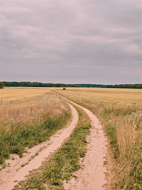 Country Road In The Field Summer Stock Photo Image Of Summer