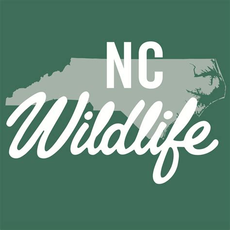 Free Programs at NC Wildlife Education Centers in July - The Grey Area News