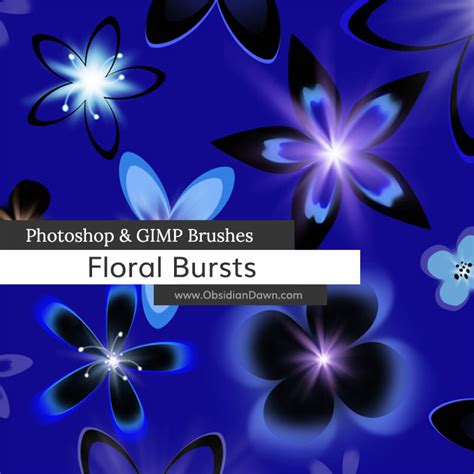 Floral Bursts Photoshop And Gimp Brushes Obsidian Dawn