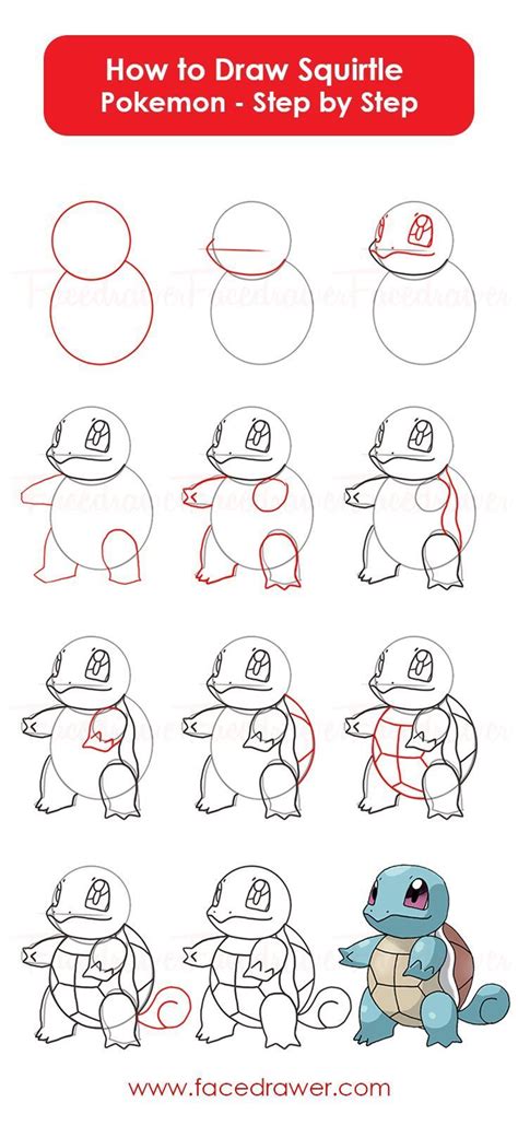 You Like The Cute Squirtle Pokemon Learn How To Draw
