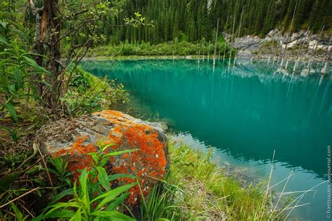 Sunken Forest Kaindy Lake · Kazakhstan Travel And Tourism Blog