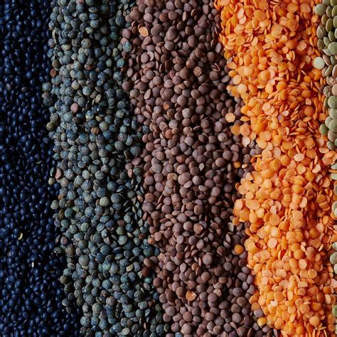 are puy lentils gluten free - Goldie Hills