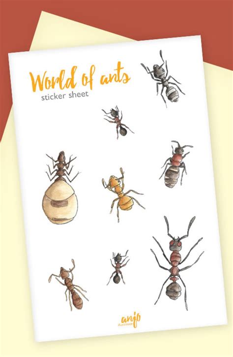 Ant Sticker Sheet Different Ant Species Bullet Journal Or Etsy
