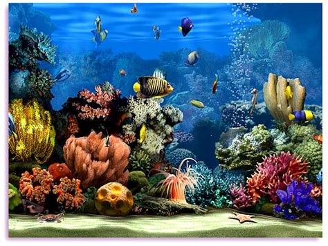 Living Marine Aquarium 2 Free 3d Screensaver Fish 3d Screen Saver
