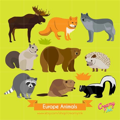Europe Wildlife Animals Digital Vector Clip Art Animal