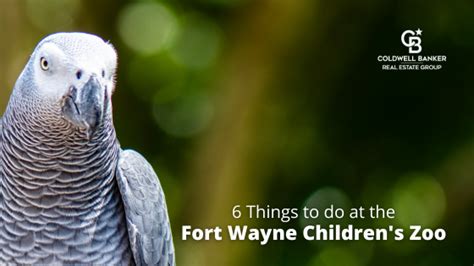 6 Things To Do At The Fort Wayne Childrens Zoo Coldwell Banker Real