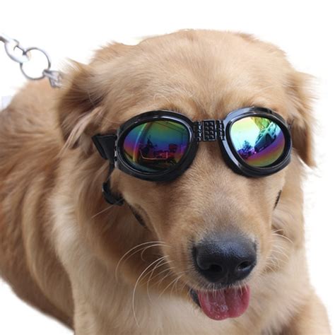 Dog Sunglasses And Eye Wear Protection Dog Stuff For Dog Lovers