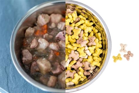 Without proper nutrition, your dog may be sick or in danger of becoming ill. Wet or Dry Dog Food - Which Is Better? | Pets-Exclusive