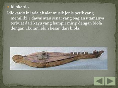 Alat Musik Yang Dipetik Dari Nusa Tenggara Timur