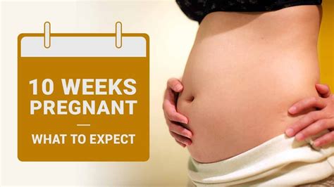 10 weeks pregnant what to expect youtube