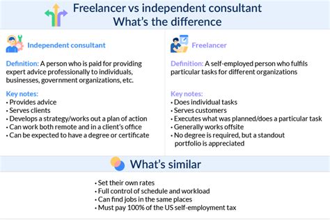 Figure Out What You Are A Consultant Or A Freelancer Expertbox