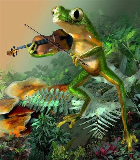 5d Diamond Painting Frog Violinist Kit