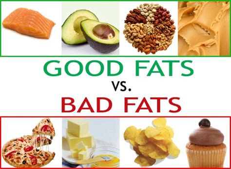 Good Fat Vs Bad Fat The Misunderstood Macro Nutrient Hubpages