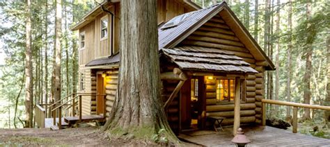 Five Reasons To Go To Deep Forest Cabins At Mt Rainier