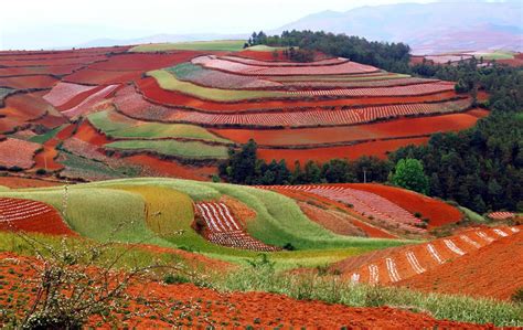 Stunning Colors Of Remote Red Land Slice Of Photography
