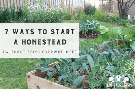 7 Ways To Start A Homestead Without Being Overwhelmed Tenth Acre Farm