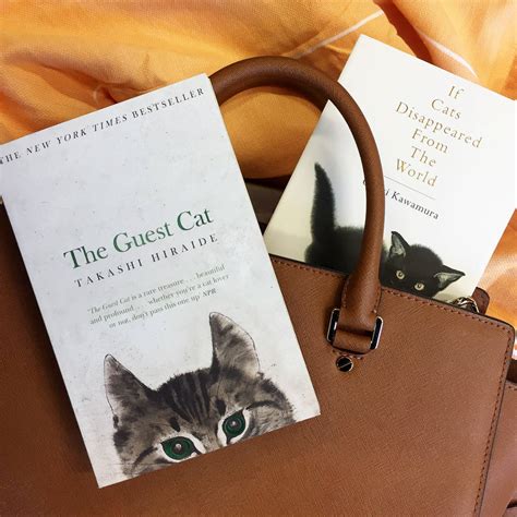 A Purrrfect Book Bundle For Cat Lovers By The Book Lover