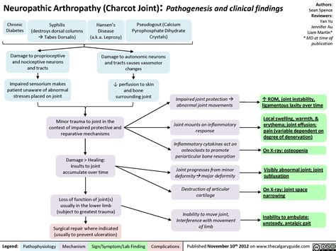 The pathogenesis of a charcot joint is thought to be an inflammatory response from a minor injury that results in osteolysis. Charcot Joint: Pathogenesis and Clinical findings ...