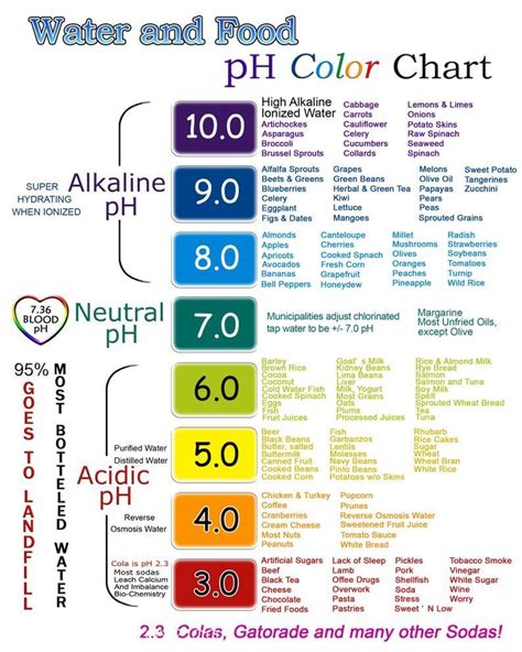 Water And Food Ph Color Chart In Alkaline Foods Chart Color Images And Photos Finder