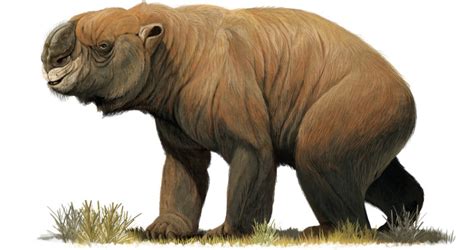 Giant Beasts That Once Dominated Australia In Prehistoric Times