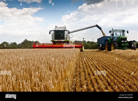 Grain Being Harvested Hi Res Stock Photography And Images Alamy