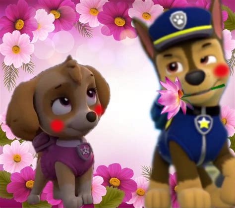 Chase And Skye Skye And Chase Paw Patrol Photo 40463632 Fanpop