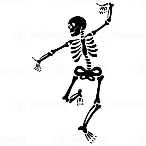 Cute Dancing Skeleton 27452653 Png