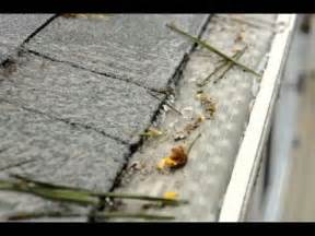 After all, this stainless micro mesh gutter guard is known for its stability and durability. Stainless steel micro mesh gutter guards - YouTube
