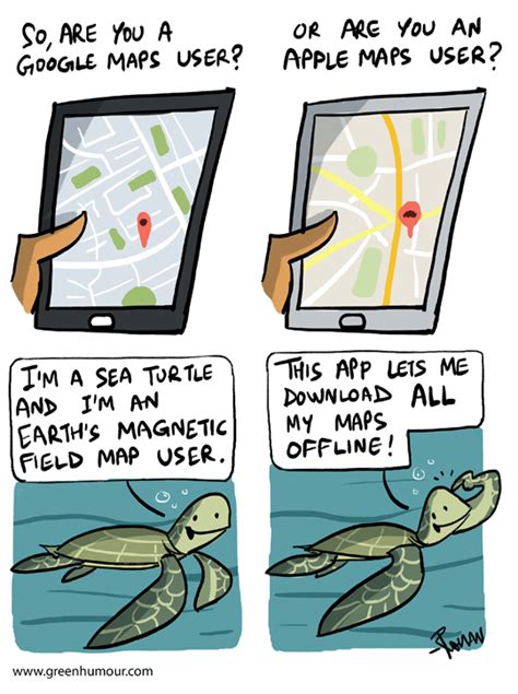 Green Humour Sea Turtle Navigation