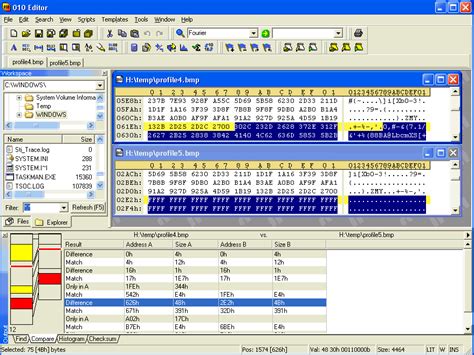 010 Editor The Professional Hex Editor