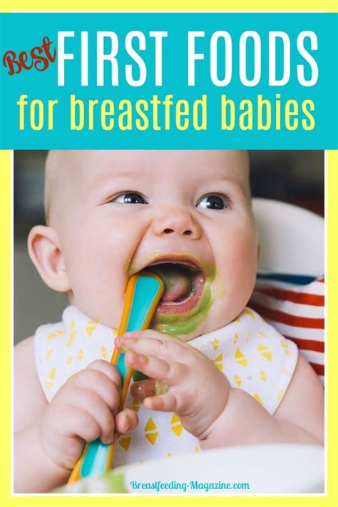 This guide to finger food for babies not only gives an extensive list of finger food ideas, but it also answers the questions many parents have when it comes to starting finger foods. Baby Cereal and First Foods for Breastfeeding Babies: What ...