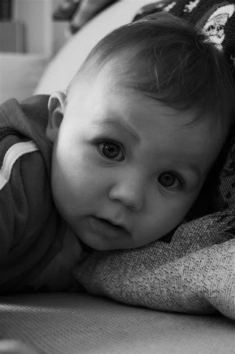 Babys Face Free Photo Download Freeimages