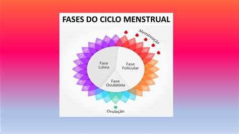 Ciclo Menstrual Conheça Suas Fases