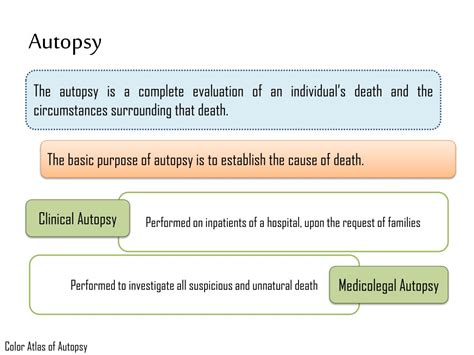 Ppt Autopsy Technique Powerpoint Presentation Free Download Id8864111