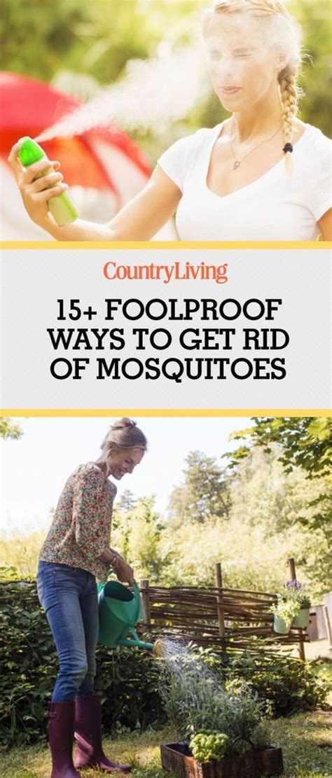 Аdditionally can vinegar keep mosquitoes away? The Best Ways to Prevent Mosquito Bites, According to Experts | Prevent mosquito bites ...