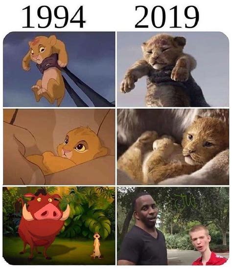 Timon And Pumba Funny Disney Memes New Funny Memes Funny Disney Memes