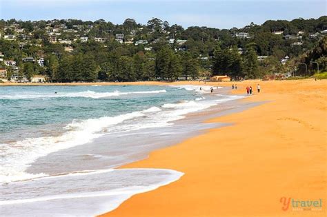 Palm Beach Sydney One Of The Best Beaches In Sydney