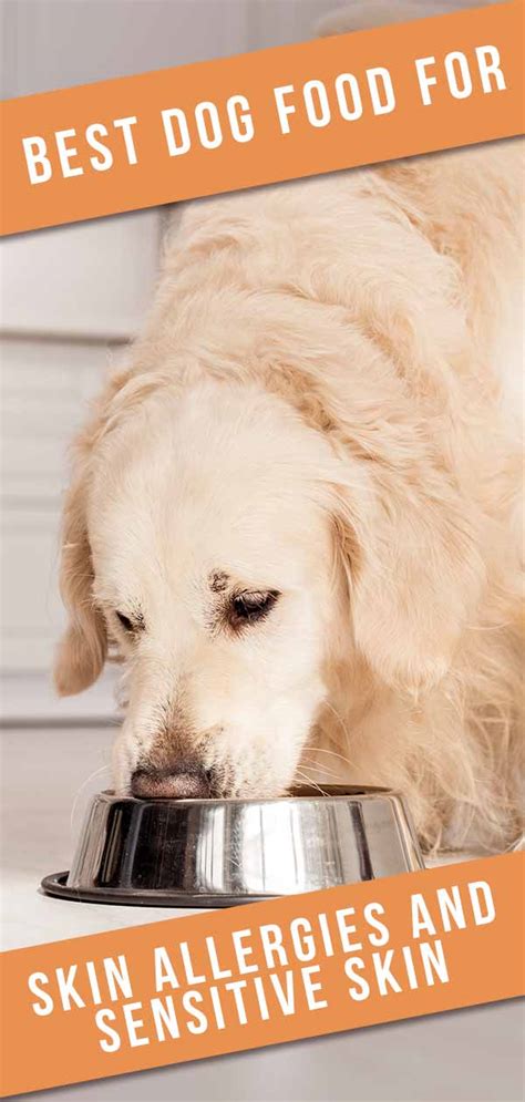 Complete List Of 8 Best Dog Food Allergies Best Today Black Cat White
