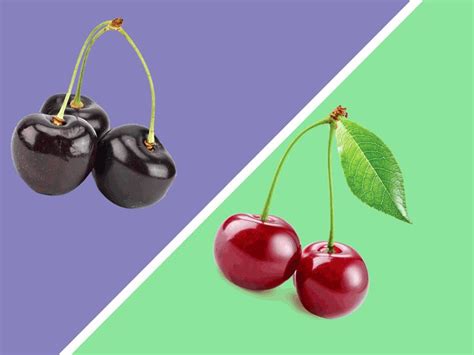 The Difference Between Sweet And Sour Cherries Chatelaine Sour