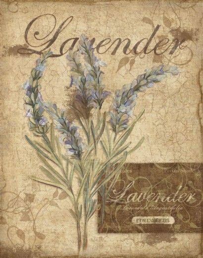 Lavender Lavender Decoupage Vintage Vintage Botanical Prints