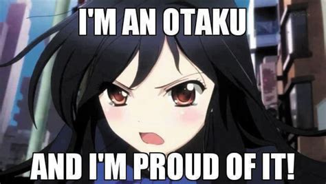 I Am An Otaku And Im Proud Otaku Issues Otaku Anime Funny
