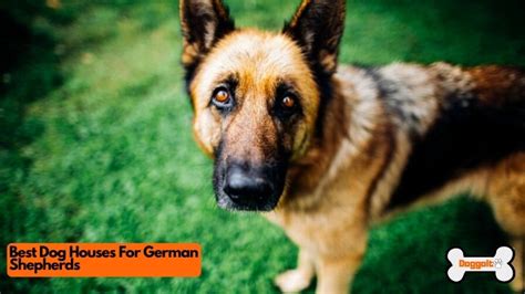 5 Best Dog Houses For German Shepherds 2021 Doggo It